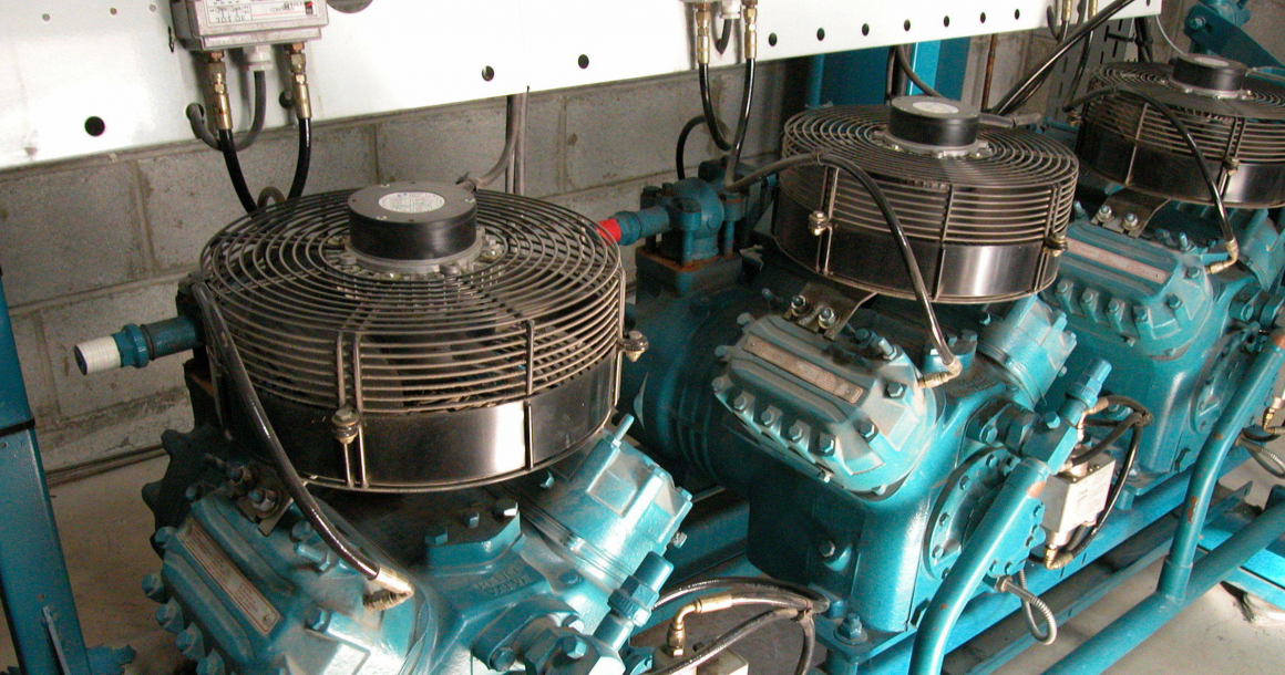 LQ11342270C_picture_0_cropped.jpg