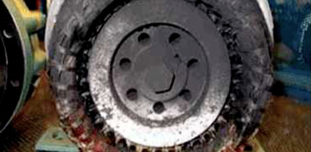 LQ11626861C_picture_0_cropped.jpg