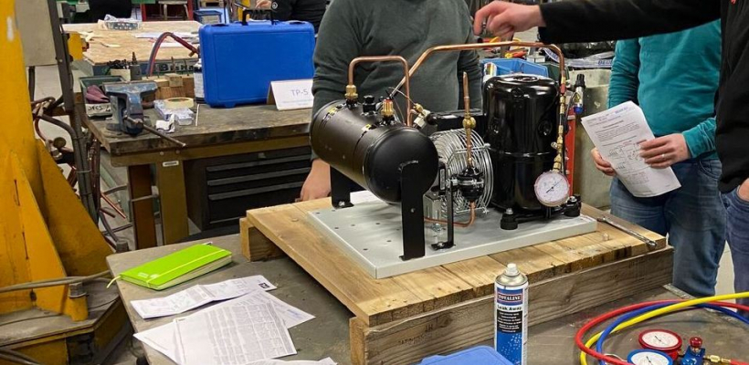 LQ12413581C_picture_0_cropped.jpg